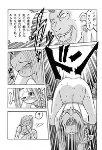 [Dokuritsu Gurentai (Bow Rei)] URIKO (Bloody Roar)