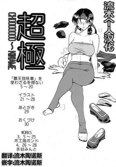 [セメダインG (木工用ボンド)] 超極 (キング･オブ･ファイターズ)（流木个人汉化）