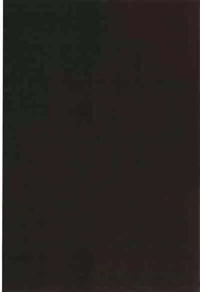 Summer Halation Musubi