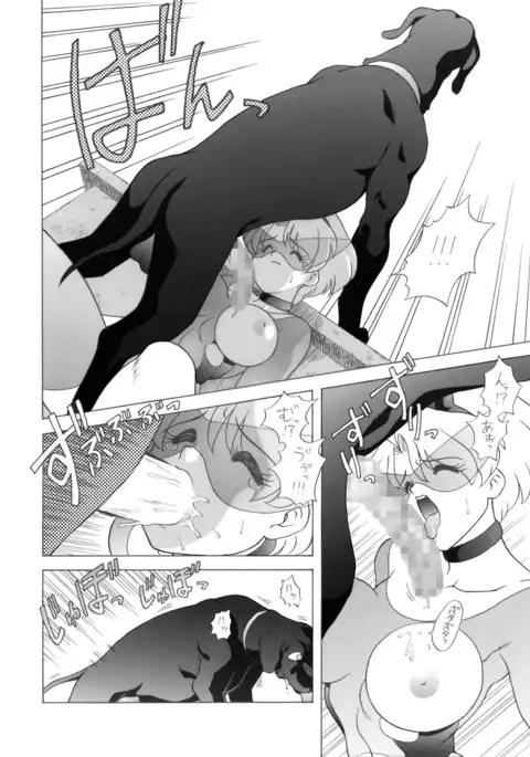 Chichikemo Collection