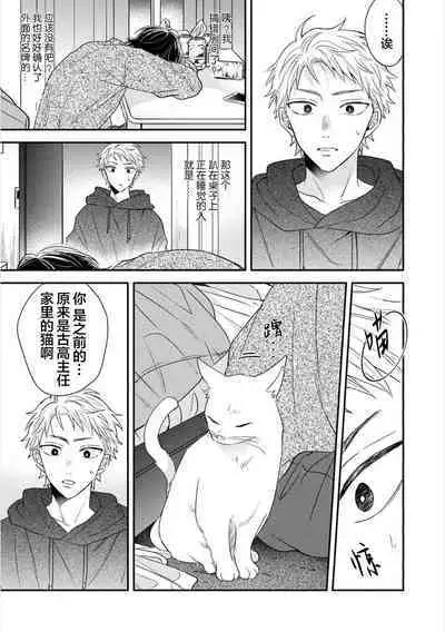 Dakasete Kudasai Furutaka Shunin｜请让我抱您古高主任