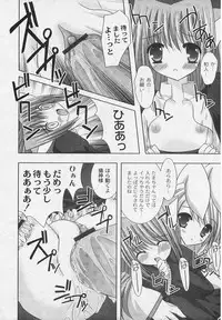 [ShikigamiAzuma]God Chome cat