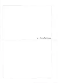 (C74) [Akai Tsubasa (Tachibana Chata)] LOVE FOOL 02 (Final Fantasy XI)