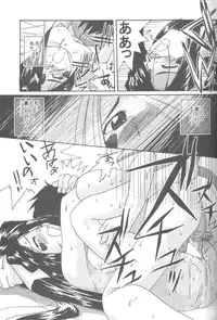 (C58) [Tenchuugumi (Tenchuunan)] IF 2000 (Ah! My Goddess)