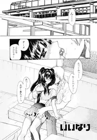 [Shimao Kazu] Flower