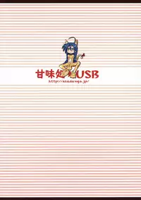 (C72) [Kanmidokoro USB (Furiri)] Hell Cat (Lucky Star)