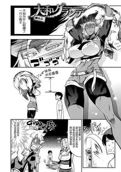 [Kemonono★] Yamato grande Ch. 1-4 [Chinese] [肉包汉化组]