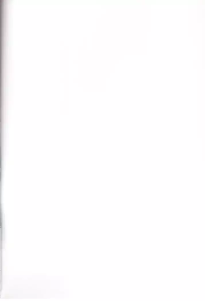 Virgin na Wolf nante Kowaku nai