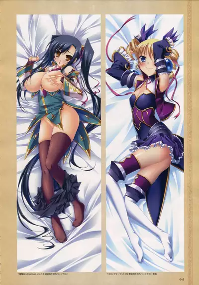 Shin Koihime Musou -Otome Ryouran Sangokushi Engi- Perfect Visual Book