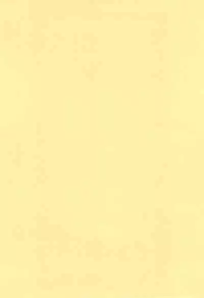 (Reitaisai) [SimpleClass (Shinozuki Kou)] -neko_gyakutai- (Touhou Project)