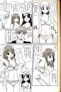 [Precious HEART] Shiritsu Fate Gakuen ~Saber Tennyuuhen~ (Fate/stay night)