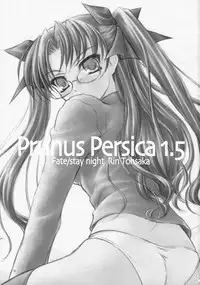 (COMIC1☆2)[[Yakan Honpo & Yakan Hikou (Inoue Tommy)] Prunus Persica 1.5 (Fate/stay night)