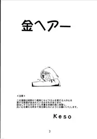 [Skirt Tsuki (keso)] Kin Hair kaitei ban (Mobile Suit Gundam)