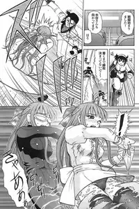 COMIC Purumelo 2008-07 Vol. 19