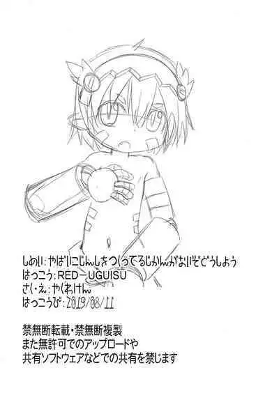 Yabai Kojinshi o Tsukutteru Jikan ga nai zo Dou Shiyou