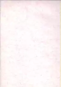 (C65) [Touchuu Kasou (Shimodzuki Miyabi)] bliss & Bless (Kizuato)