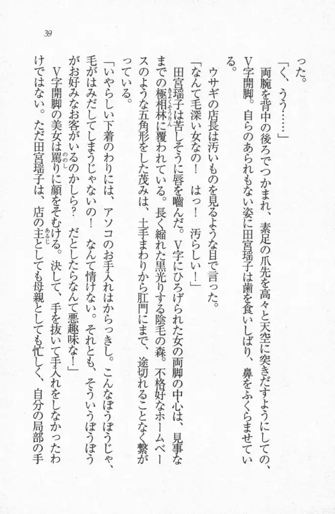 メイド喫茶 猫の隠れ家