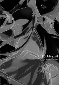 (C67) [Anime BROTHERS (Itsuki Kousuke)] PixelitA 03