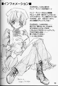 (CR28) [CARNELIAN] X Gee Mania (Machine Maiden)