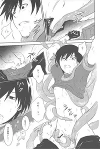 [DARKER THAN BLACK] hoshiatsume 表&裏 (mrmn)