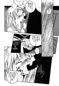 [Hayakawa Mamoru] Rakka Chiten Nite