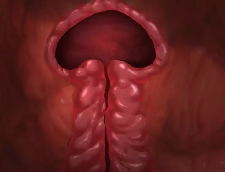 F●TEおま●こナイト製品版！