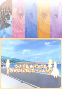 Tsunagaru Bangle - Visual Fan Book