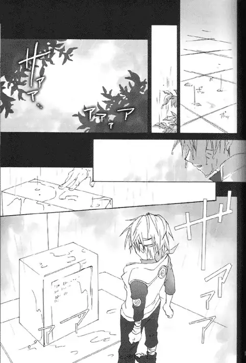 Gold Feather Silver Body