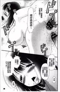 [Bloomer Hogero] Pudding Principle [Chinese]