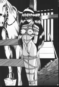 (CR17) [Circle Taihei-Tengoku (Horikawa Gorou)] Hibaku Kan