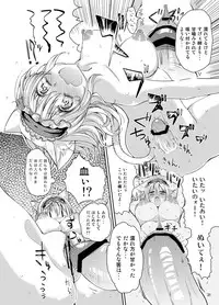 [Nipakupa (Cream)] H na Nyarisu no Tsukurikata. (Touhou Project) [Digital]