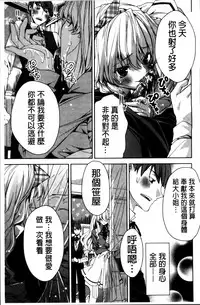 [Sid Alice] Kisstomo [Chinese]