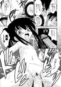 [yeahhhy tomii] Meconopsis