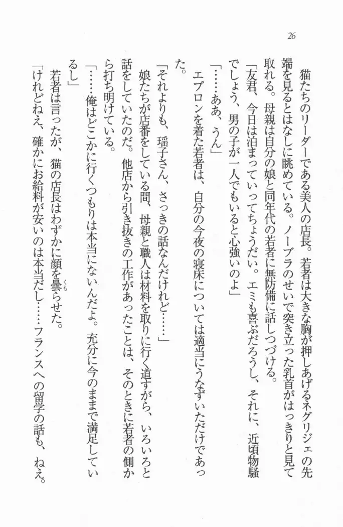 メイド喫茶 猫の隠れ家