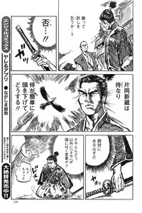 Action Pizazz HB 2013-10