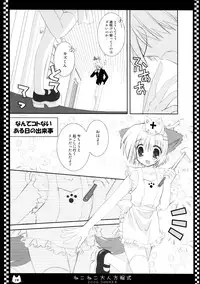 (C70) [Neko Kinryouku (NekoNeko)] NekoNeko Otona Houteishiki