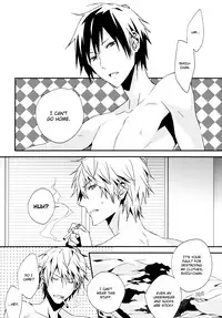 (Ikebukuro Crossroads × 2) [inumog (Fujino Marumo)] Senseless Conflict (Durarara!!) [English]