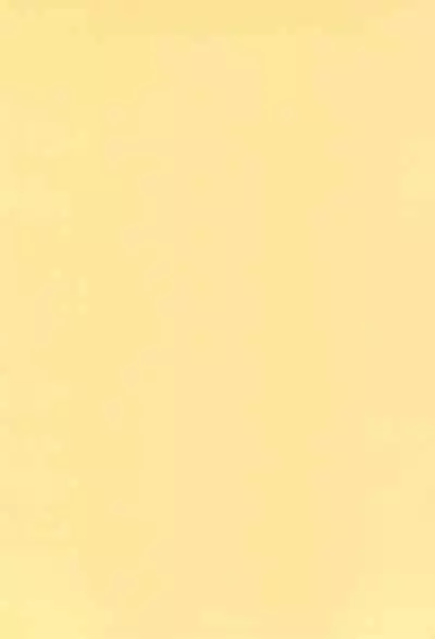 quarterly LIBIDO VOL.2