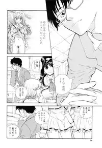 [Shimao Kazu] Flower