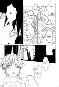 [HOUSEKI-HIME/idea (Nono Inukai, Rin Seina)] Metamorphosis (Fullmetal Alchemist) [English]