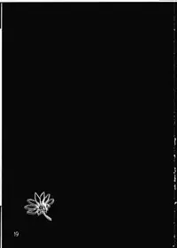 (C70) [Hakonyan. (Takeuchi Kiriko)] Himitsu no Eros Tinpo! (Mai-Otome)