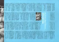 [Nishieda] Dendrobium