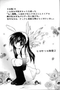 (C67) [Sakurakan (Seriou Sakura)] Tobikkiri no Himitsu 2 (Inuyasha)