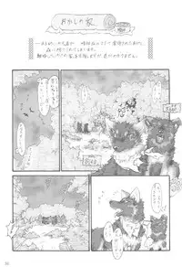 (Kansai! Kemoket 2) [KTQ48 (Various)] KTQ 5