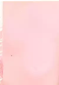 [Kazusa Shima] Accel Bomber