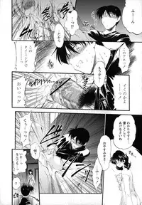 [Noraneko Nagaya] Horoama Omocha Hako