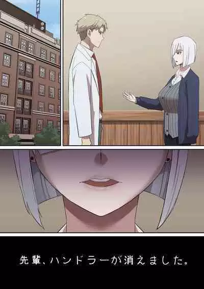 Daraku Mesu-tachi no Shoufu Nisshi