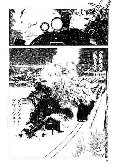 Shōjo Tsubaki | Mr. Arashi's Amazing Freak Show