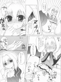 (C80) [ALMISM(Minatsuki Arumi),Ryuknigthia (Kiduki Erika),etc] Roman (Ragnarok Online)