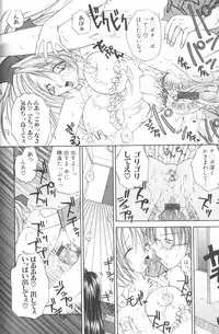 [Hashi Cube] Honey Angel Slave